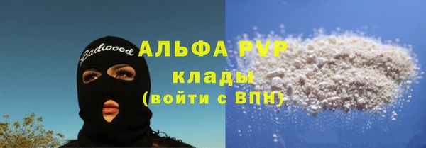 гидра Алексин