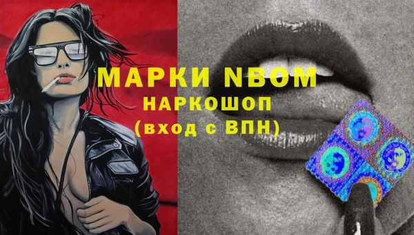 гидра Алексин
