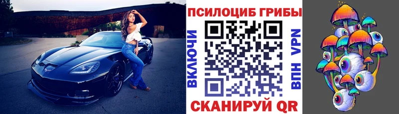 mega tor  купить наркоту  Туймазы  Псилоцибиновые грибы GOLDEN TEACHER 